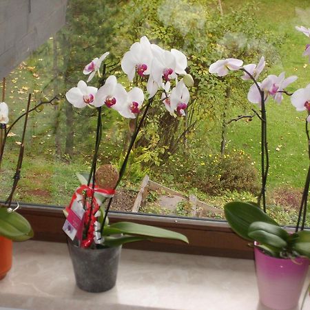 Appartements Birkenhof Берванг Екстериор снимка