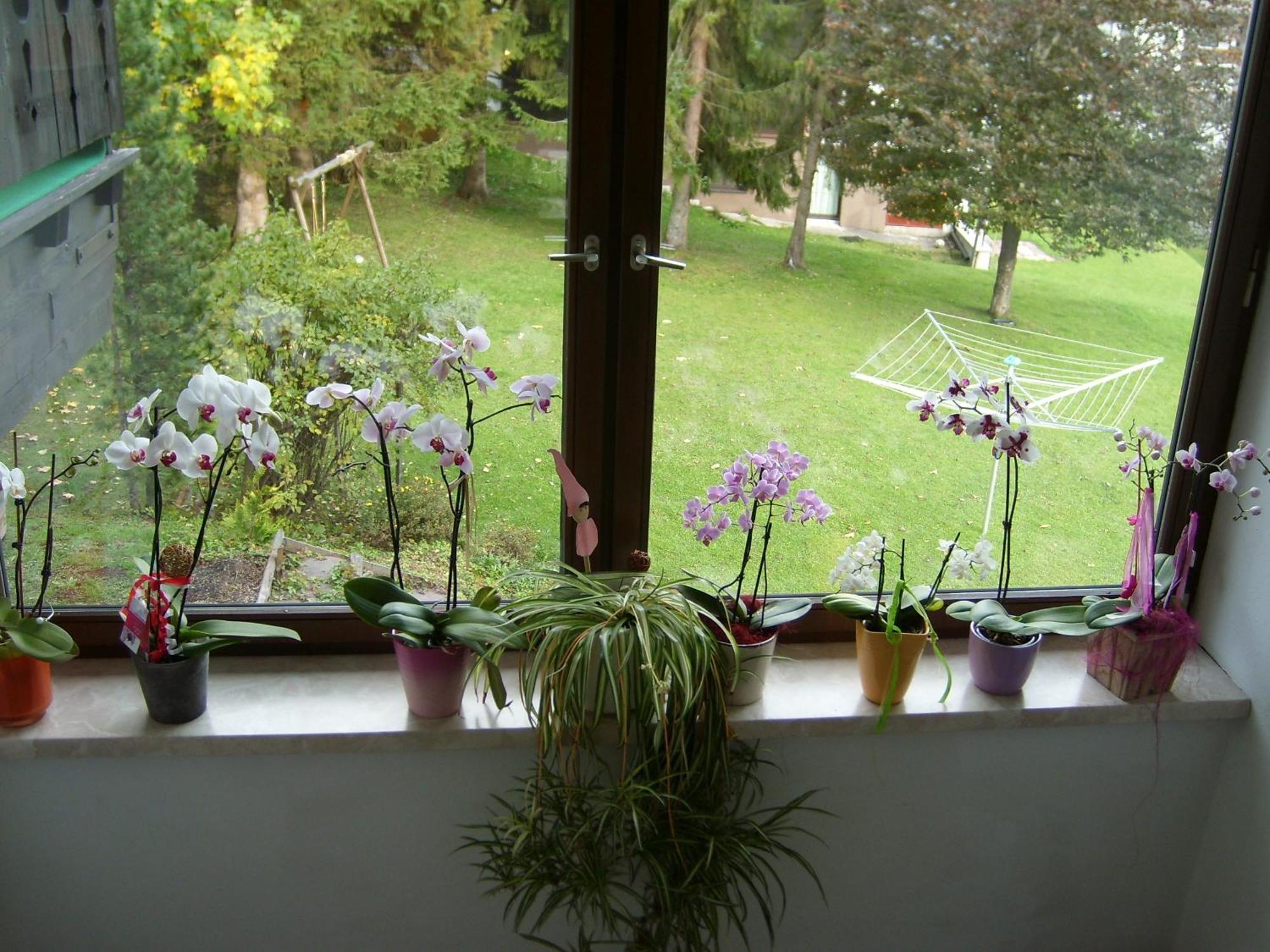 Appartements Birkenhof Берванг Екстериор снимка